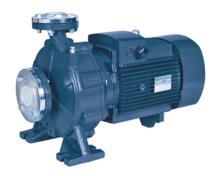 Насос центробежный моноблочный Purity PSTC 80-160/220