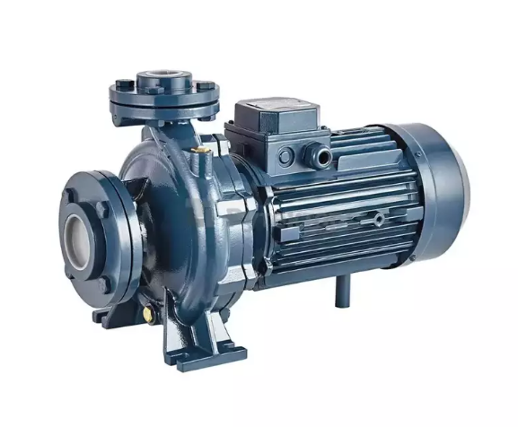 Насос центробежный моноблочный Purity PSTC 50-200/150