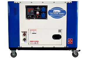 Сварочный генератор TSS DGW-300ES