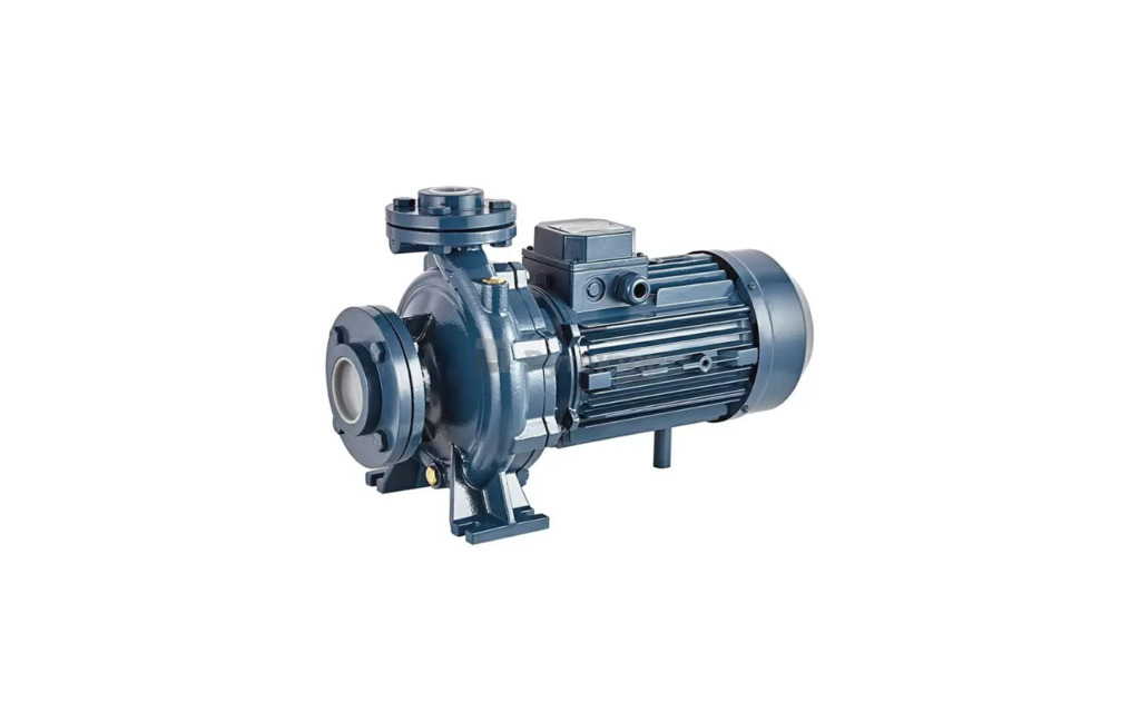 Насос центробежный моноблочный Purity PSTC 65-160/110