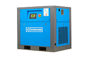 Винтовой компрессор Hansmann RSA 7.5-10 (IP23)