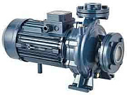 Насос Purity PSTC 50-250/150