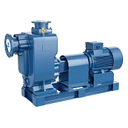 Самовсасывающий насос для загрязненной воды PURITY PZWM 50-20-35/2