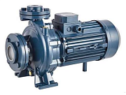 Насос центробежный моноблочный Purity PSTC 50-250/150 (N)