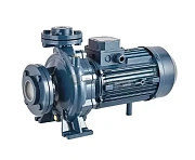 Насос центробежный моноблочный Purity PSTC 100-200/370