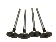 RE518080, RE557890, R502369 Впускной клапан John Deere 4045, 6068